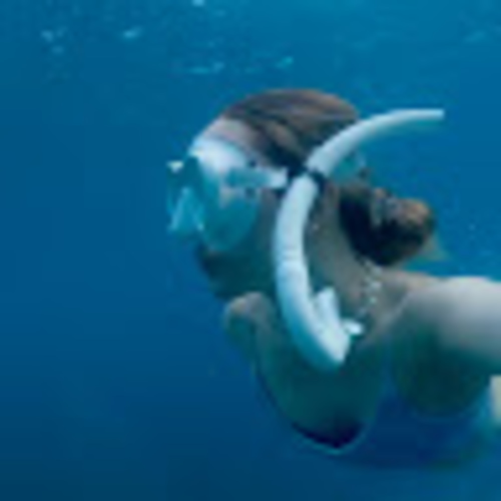 Meet your Posher, Summer